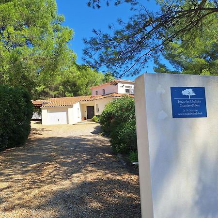 Studio d'Hôtes les Libellules Castelnau-le-Lez Extérieur photo