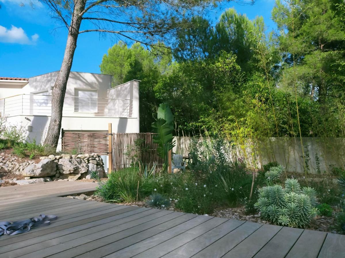 Studio d'Hôtes les Libellules Castelnau-le-Lez Extérieur photo